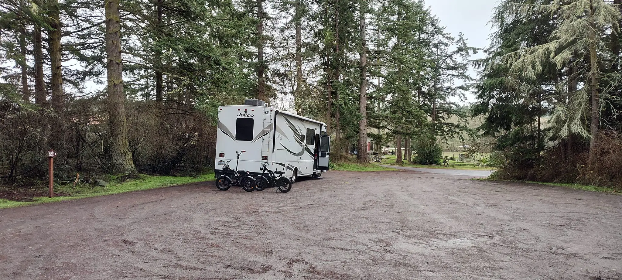 Bruno in a parking log